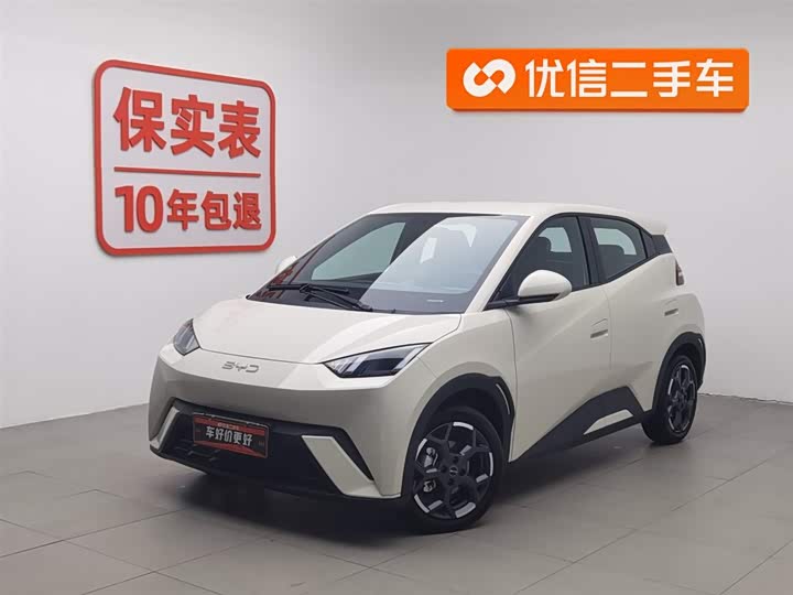 Фото 1 - BYD Seagull