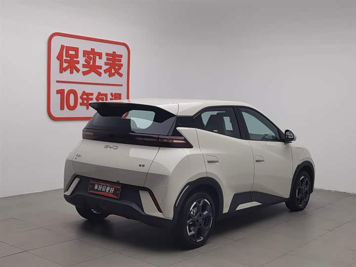 Фото 2 - BYD Seagull