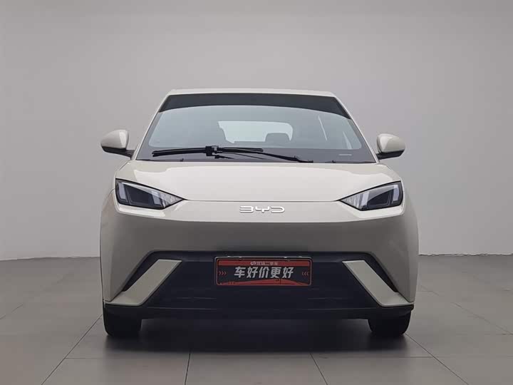 Фото 3 - BYD Seagull