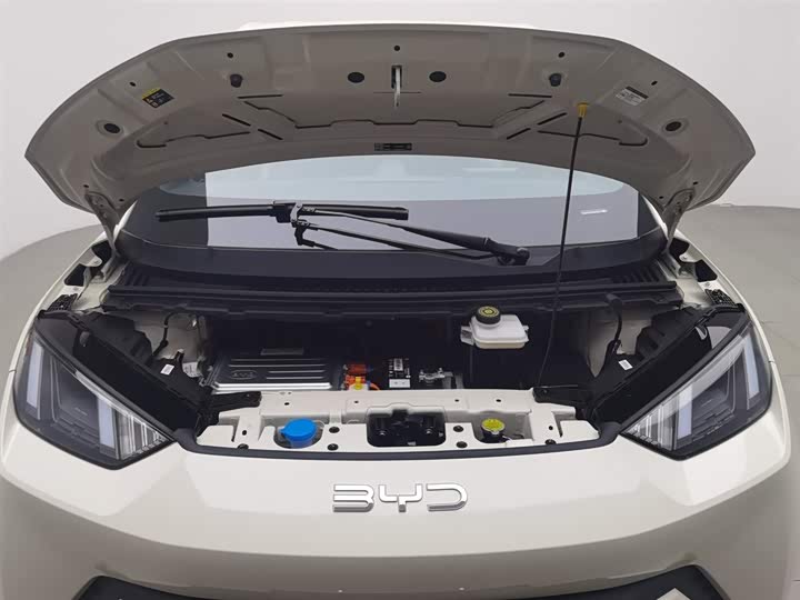 Фото 6 - BYD Seagull