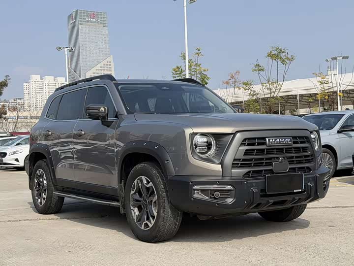 Фото 3 - Haval Dargo