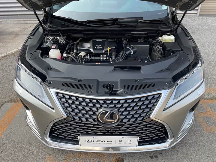 Фото 8 - Lexus RX