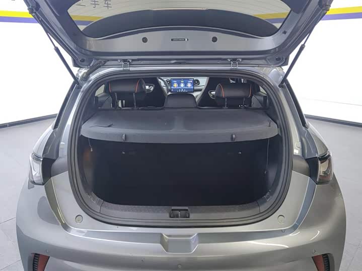 Фото 4 - BYD Dolphin