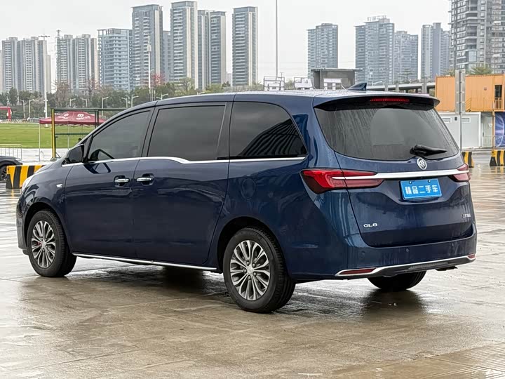 Фото 4 - Buick GL8 ES