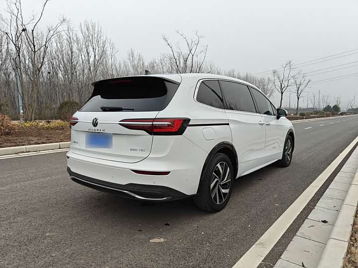 Фото 6 - Volkswagen Viloran