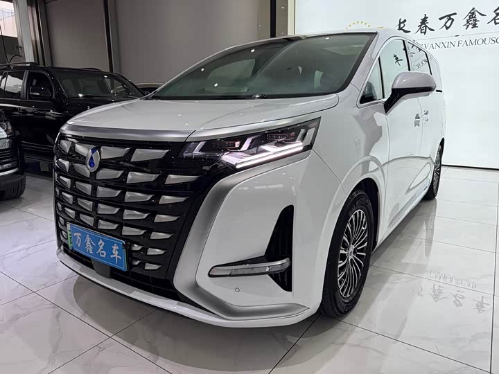 Фото 1 - Denza D9