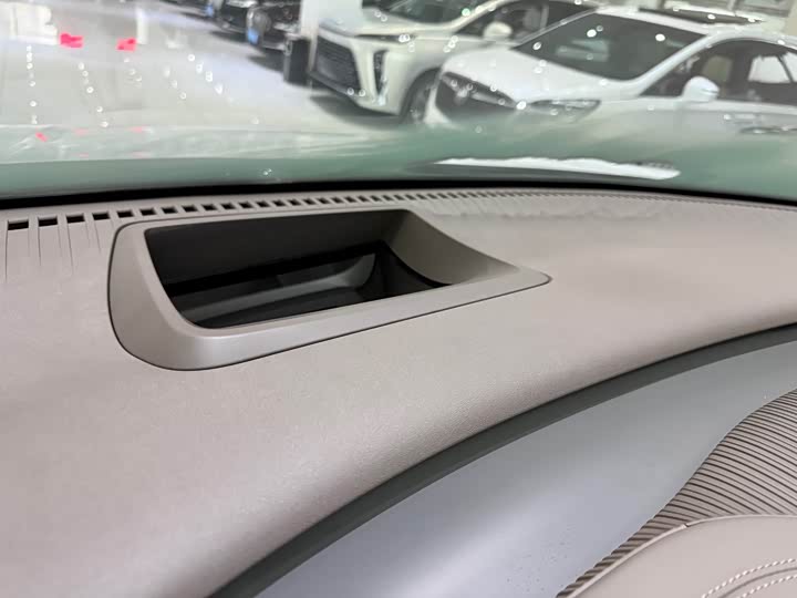 Фото 4 - Denza D9