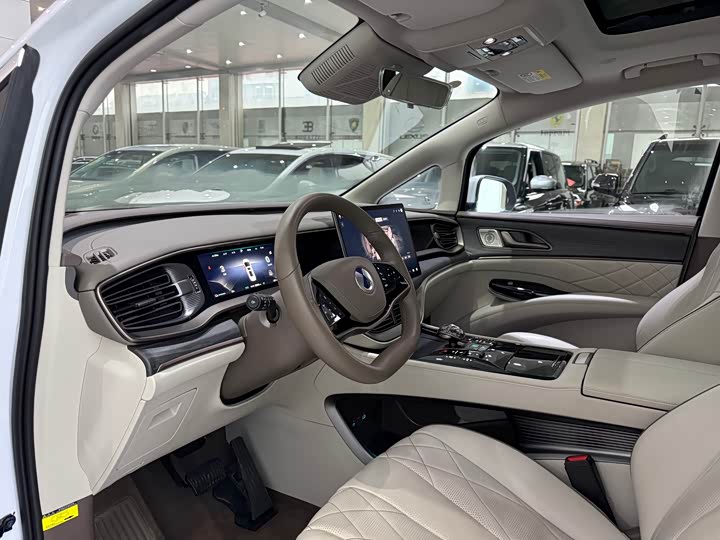 Фото 6 - Denza D9