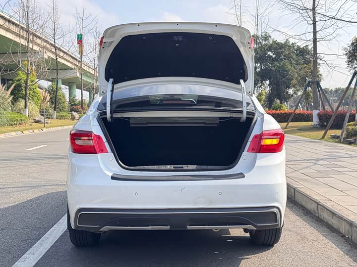 Фото 8 - Dongfeng Forthing S50 EV