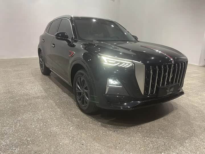 Фото 3 - Hongqi HS5