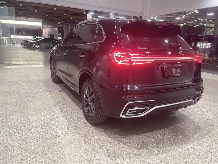 Фото 8 - Hongqi HS5