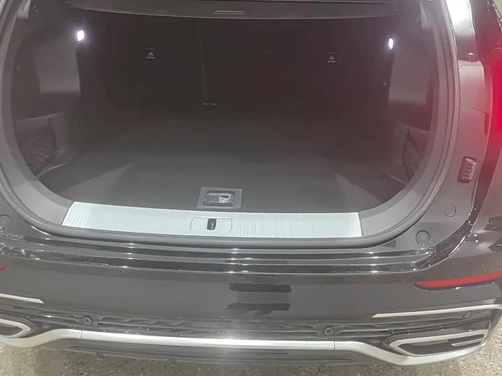 Фото 9 - Hongqi HS5