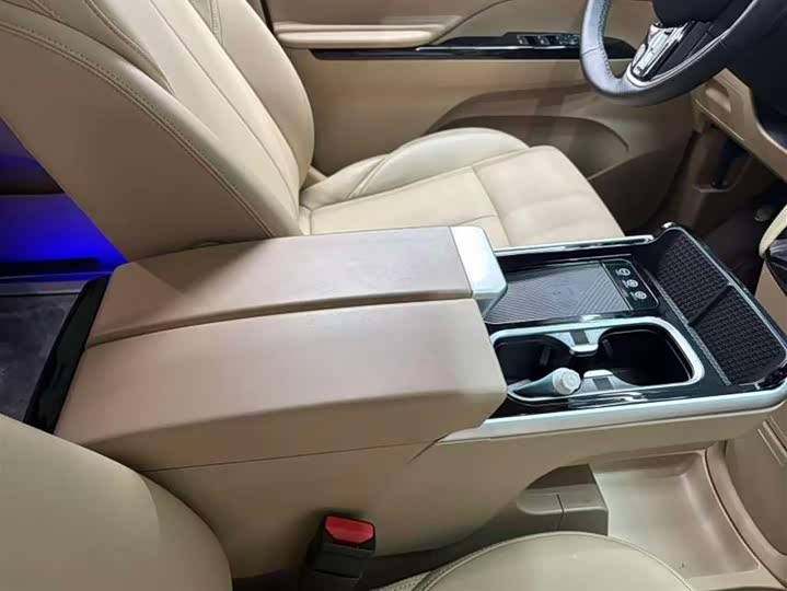 Фото 5 - Buick GL8 Hybrid