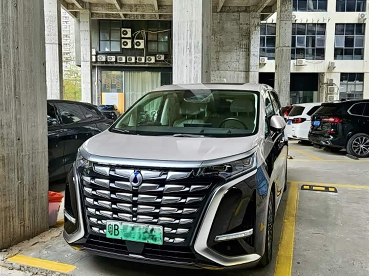 Фото 1 - Denza D9