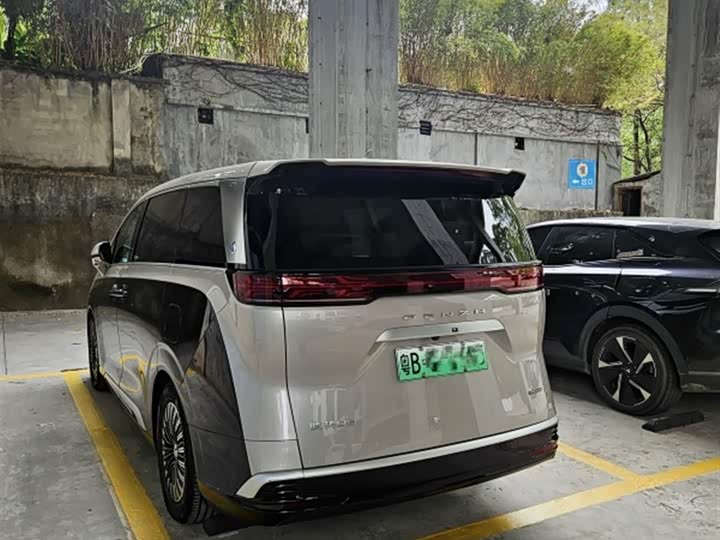 Фото 2 - Denza D9