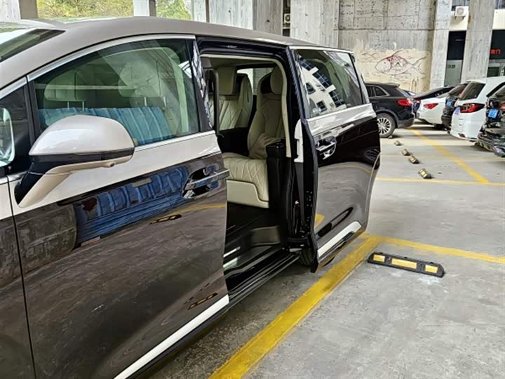 Фото 7 - Denza D9