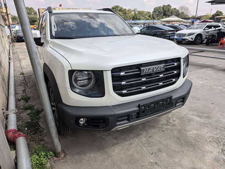 Фото 3 - Haval Dargo