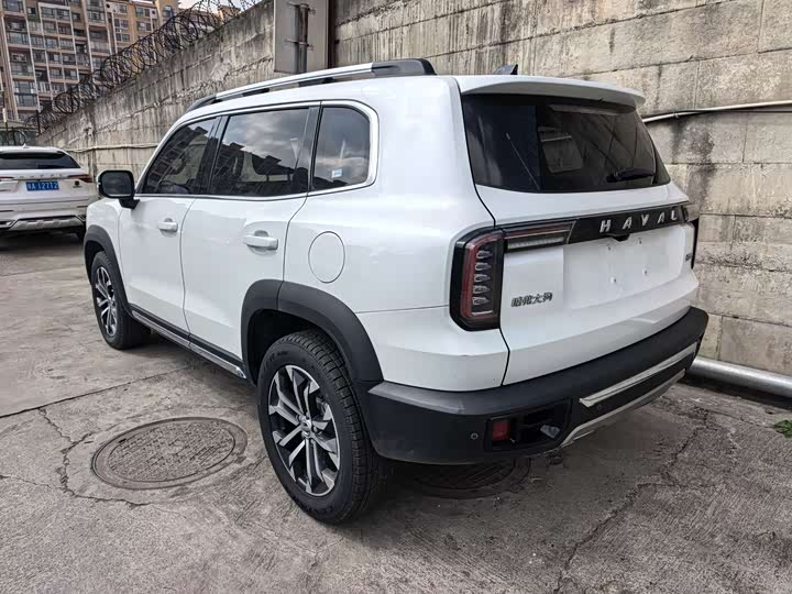 Фото 4 - Haval Dargo