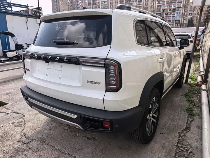 Фото 6 - Haval Dargo