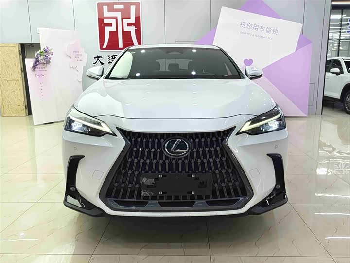 Фото 2 - Lexus NX