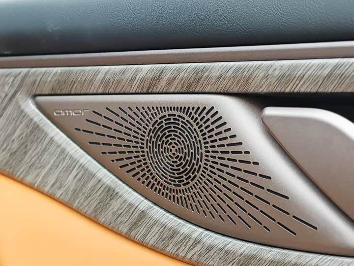 Фото 7 - Wey Gaoshan