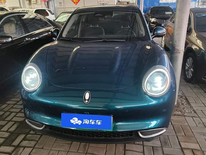 Photo 2 - Ora Good Cat (03)