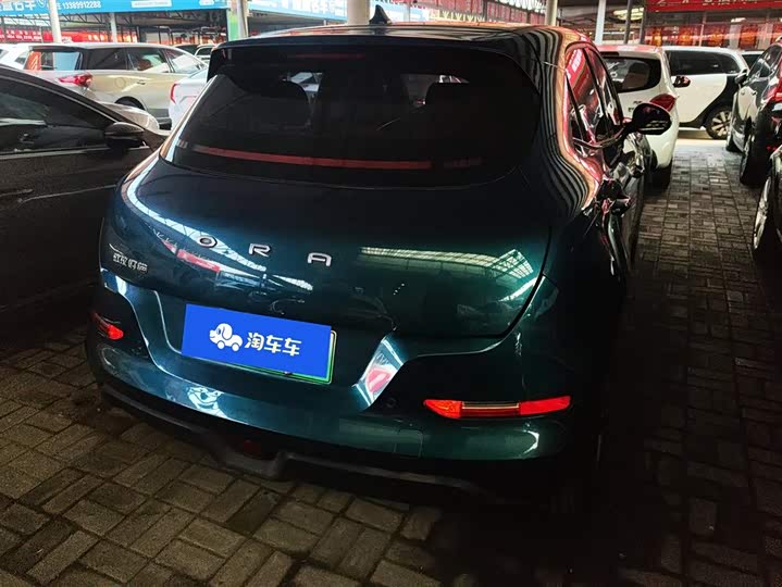 Photo 3 - Ora Good Cat (03)