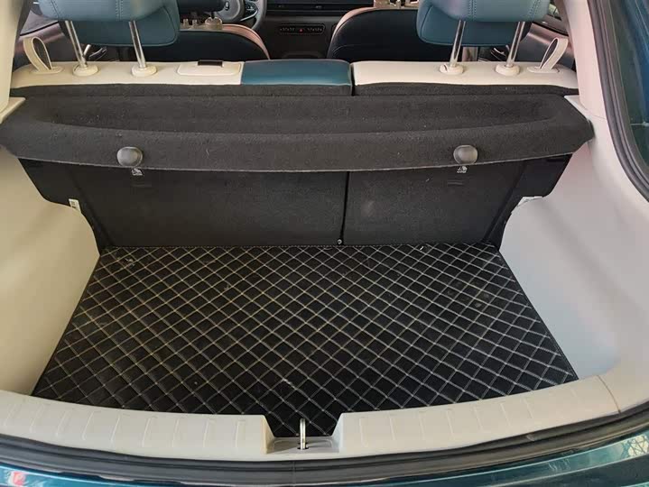 Photo 4 - Ora Good Cat (03)