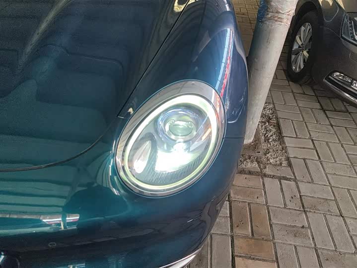 Photo 5 - Ora Good Cat (03)