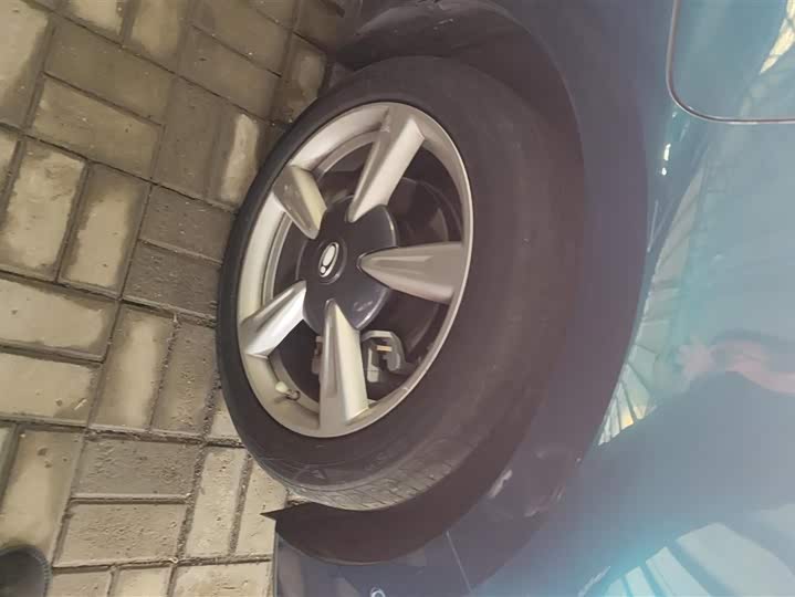 Photo 6 - Ora Good Cat (03)