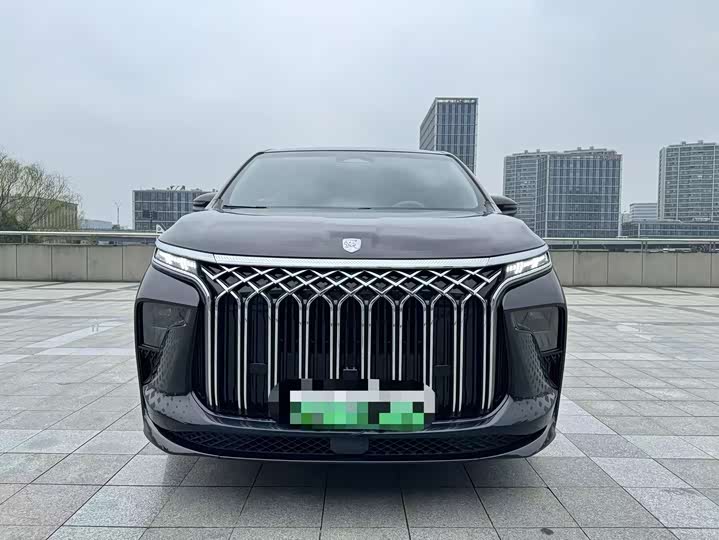 Фото 2 - Dongfeng Forthing Xinghai V9