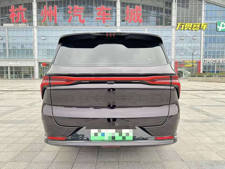 Фото 6 - Dongfeng Forthing Xinghai V9