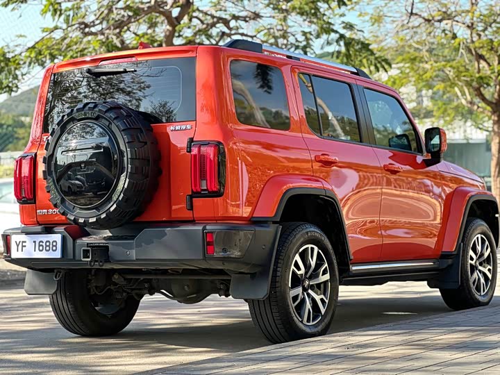 Фото 7 - Tank 300