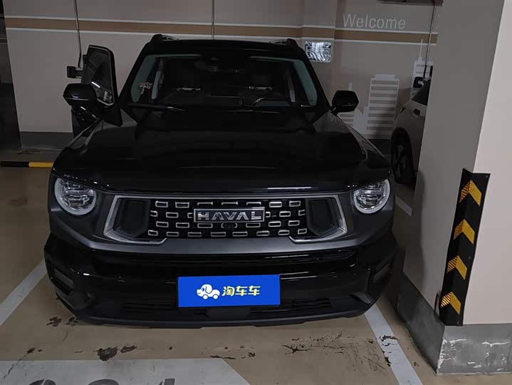 Фото 2 - Haval H-Dog
