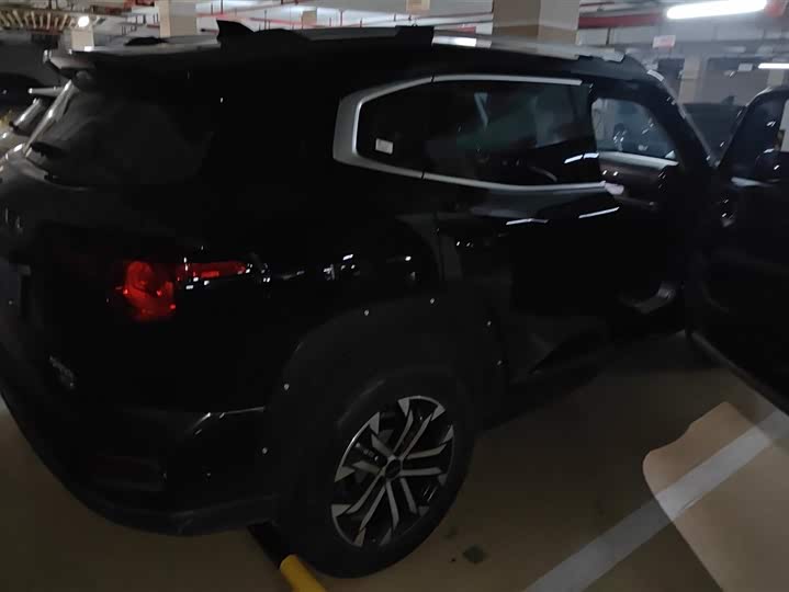 Фото 3 - Haval H-Dog