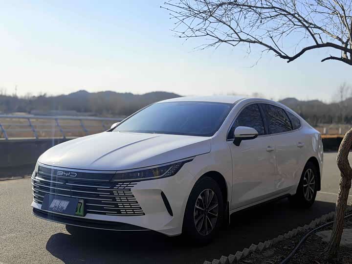 Фото 1 - BYD Destroyer 05