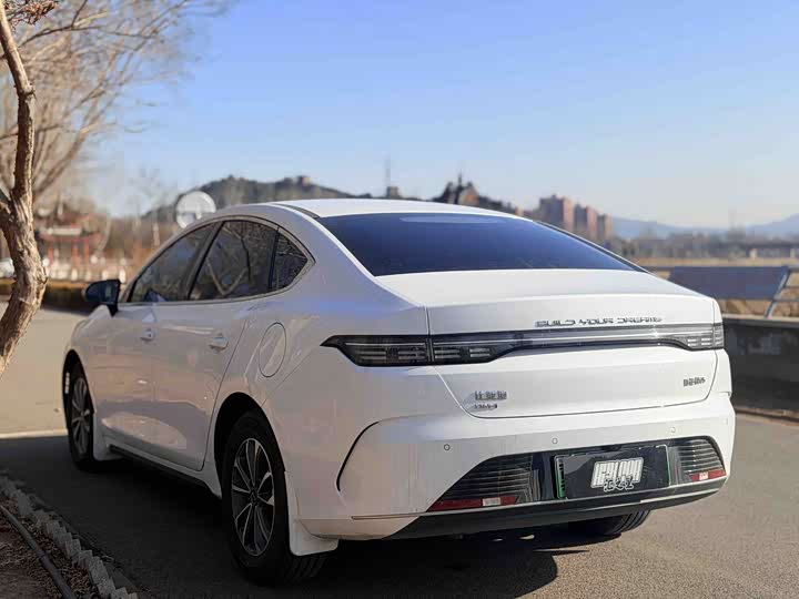 Фото 2 - BYD Destroyer 05