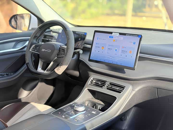 Фото 3 - BYD Destroyer 05