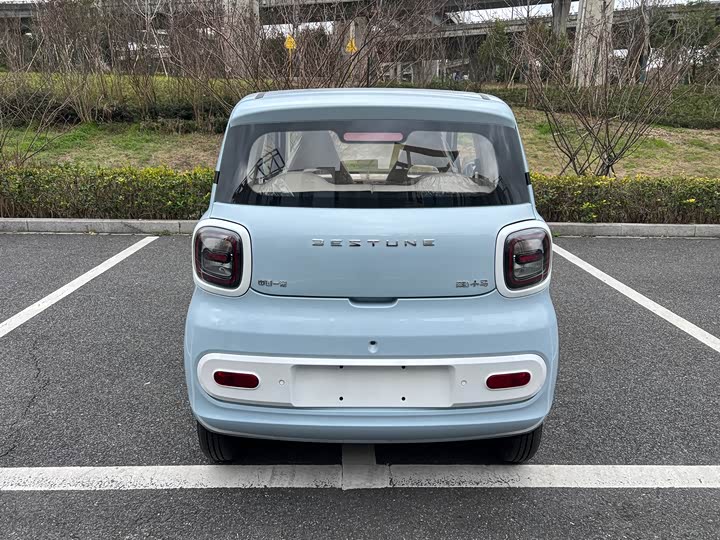 Фото 6 - Bestune Pony