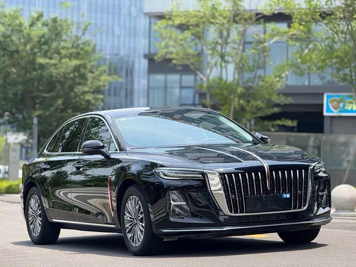 Фото 3 - Hongqi H5