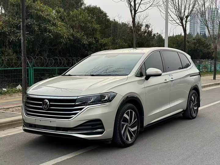 Фото 3 - Volkswagen Viloran
