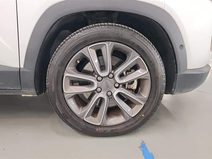 Фото 6 - Geely Icon