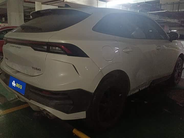 Фото 3 - Dongfeng Forthing T5