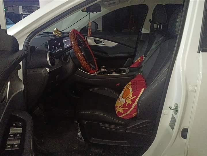 Фото 9 - Dongfeng Forthing T5