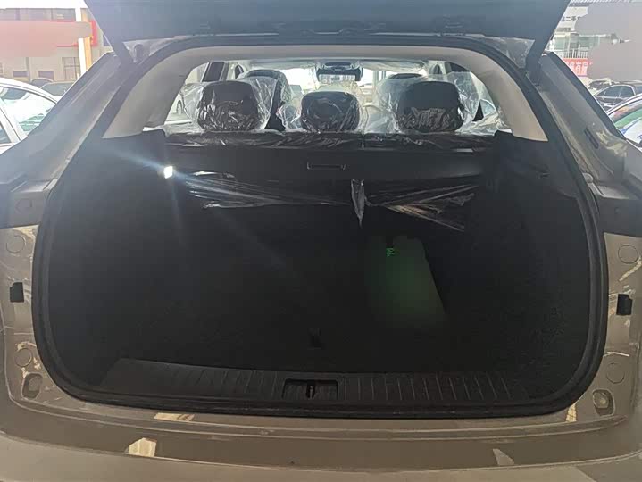 Фото 4 - Exeed RX C-DM Hybrid