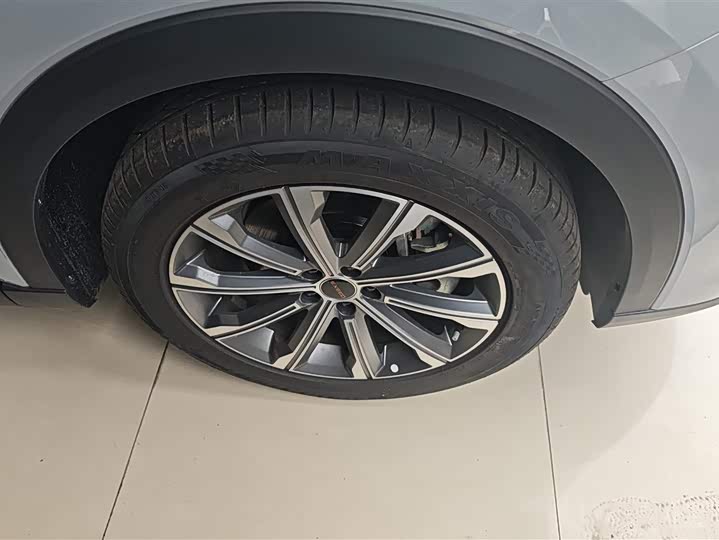 Фото 6 - Exeed RX C-DM Hybrid