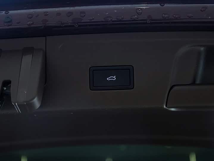 Photo 9 - Volkswagen Viloran