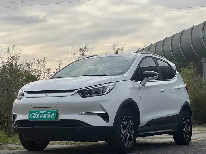 Фото 1 - BYD Yuan Pro