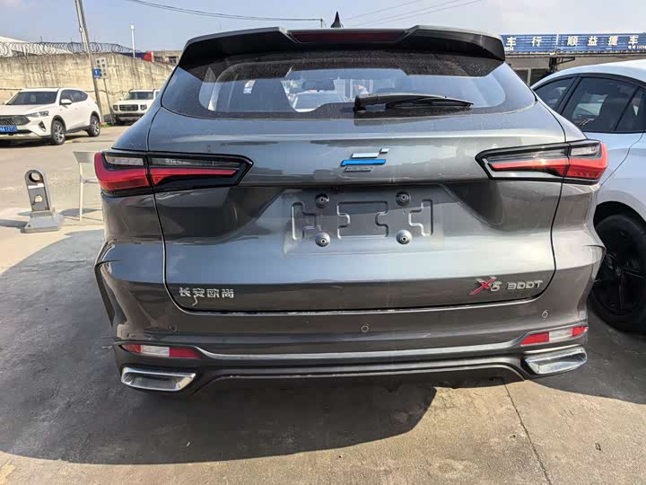 Фото 5 - Changan Oshan X5