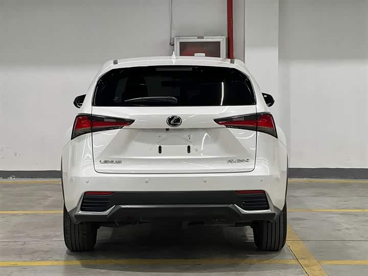 Фото 6 - Lexus NX